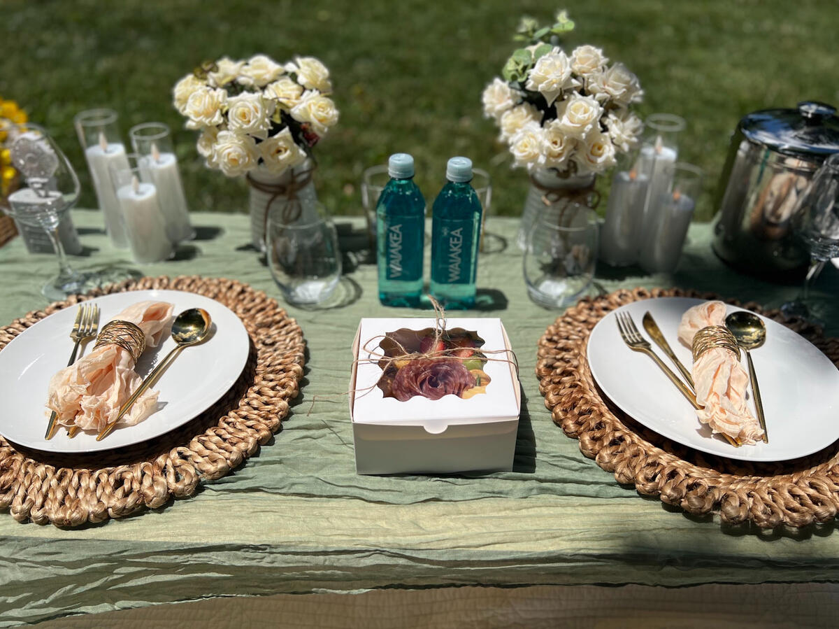 Luxury Picnic Luxury Picnic